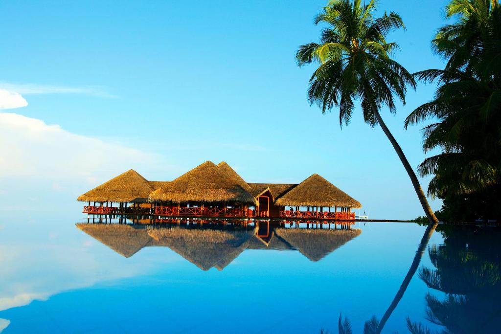 Holidays